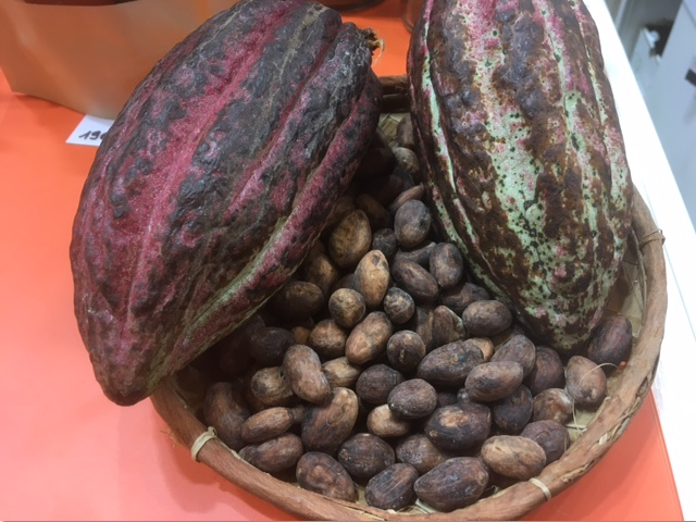 Pourquoi mange-t-on des œufs en chocolat?