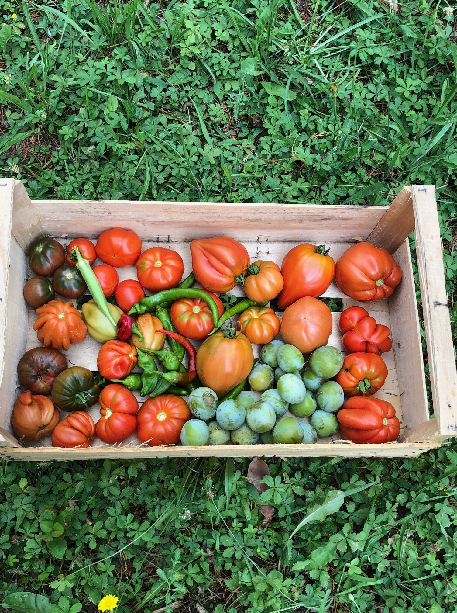 Comment manger à sa faim quand on souffre de précarité alimentaire ?