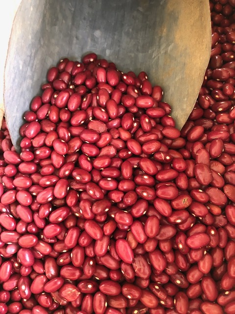 Pourquoi se passer des bienfaits des haricots secs?